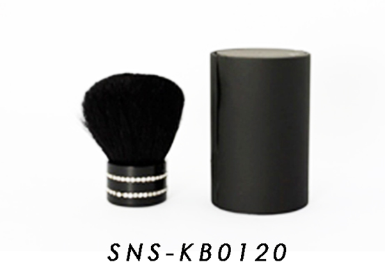 SNS-KB0120