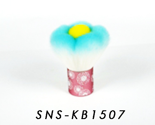SNS-KB1507
