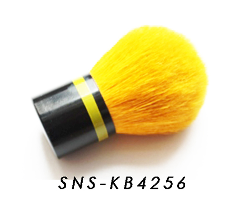 SNS-KB4256