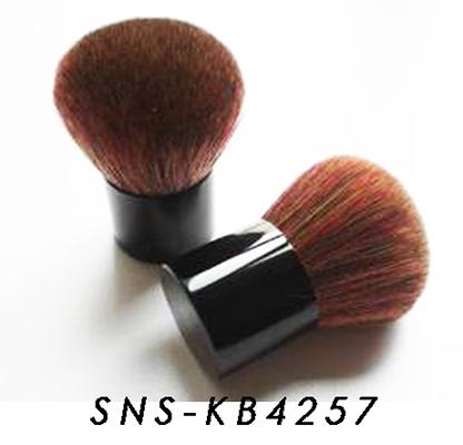 SNS-KB4257