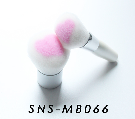 SNS-MB066
