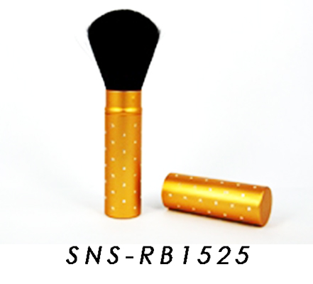 SNS-RB1525
