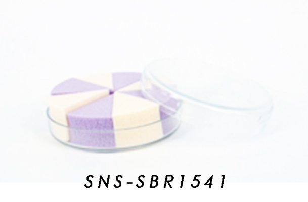 SNS-SBR1541