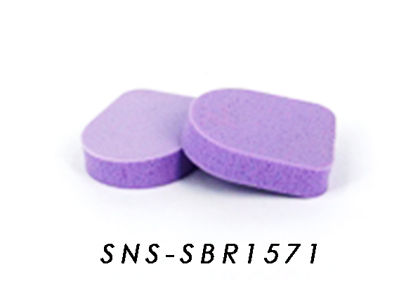 SNS-SBR1571